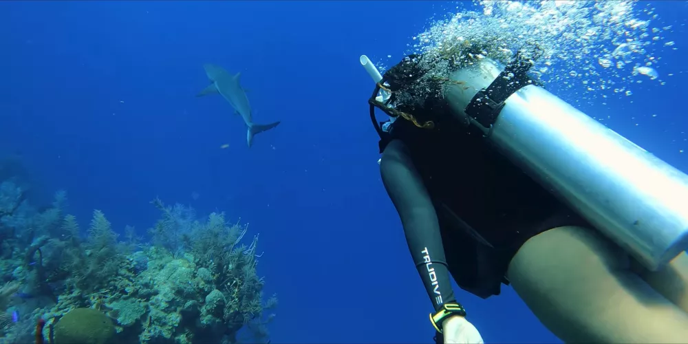 Дайвинг относится к экстремальным видам спорта - следует оформить страховку