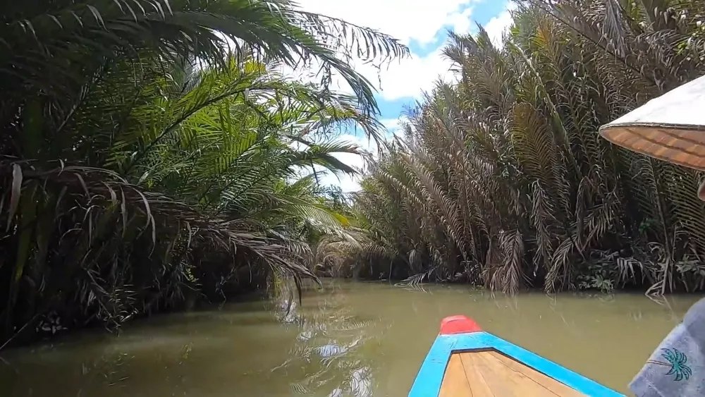 Дельта Меконга