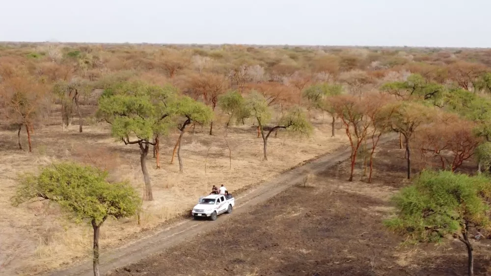 Диндер — национальный парк в Судане