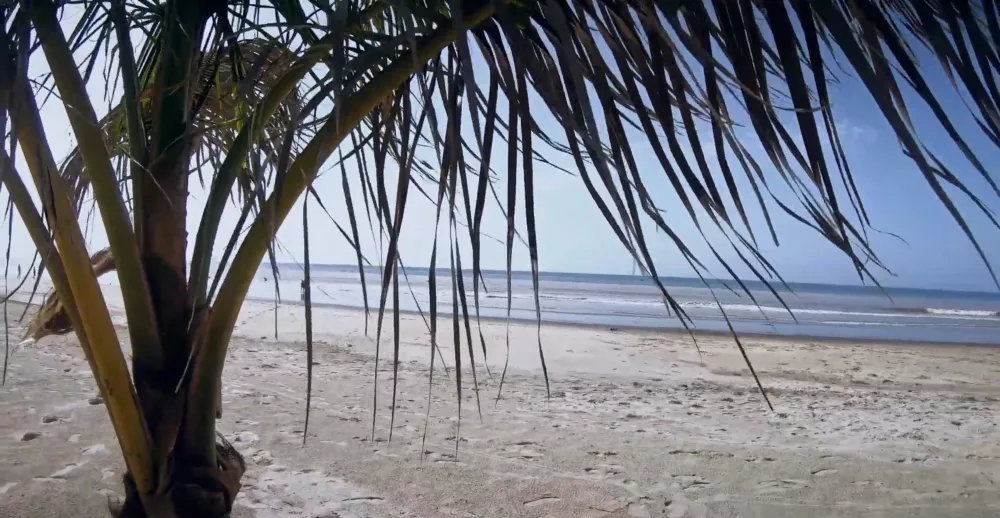 Добро пожаловать в Гамбию