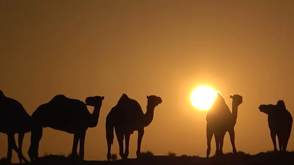 Добро пожаловать в Мавританию!