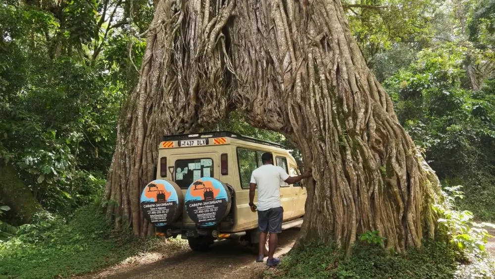 Добро пожаловать в Танзанию