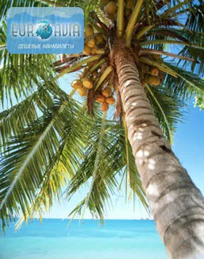 авиабилет на Мадагаскар