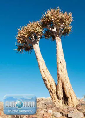 авиабилет в Намибию