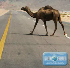 авиабилет Саудовская Аравия