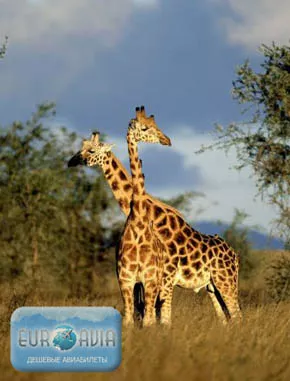 авиабилет в Уганду