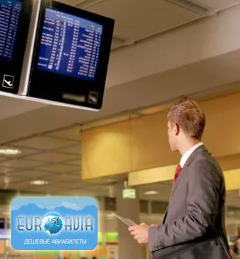 авиаперелеты расписание