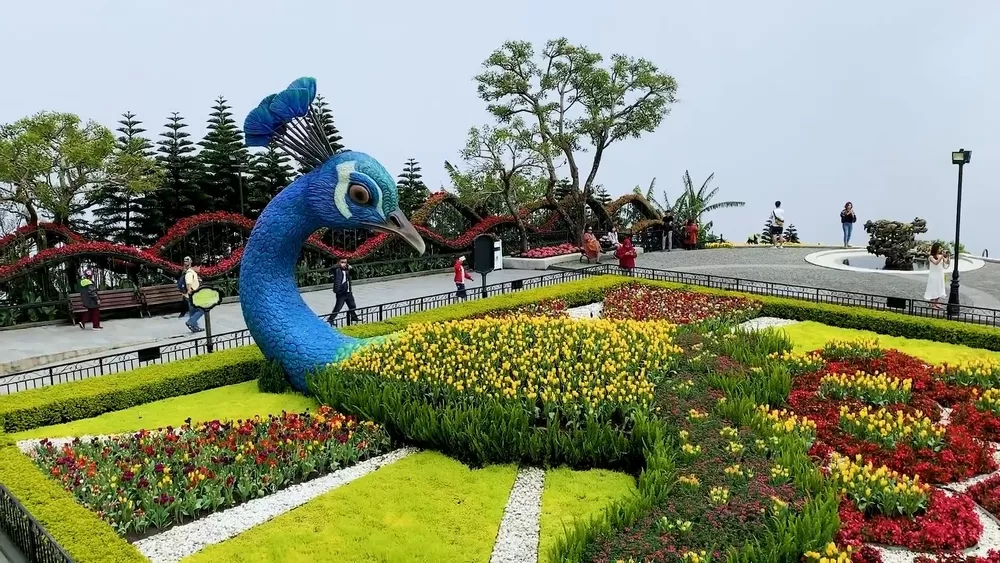 Экспонаты Цветочного сада