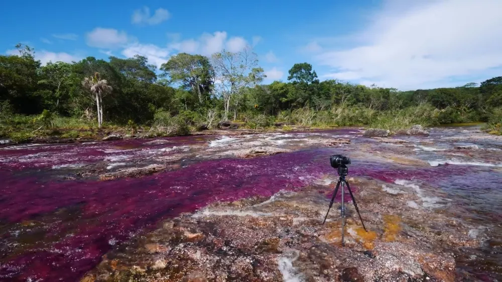 Каньо-Кристалес — река в Колумбии