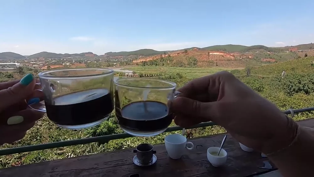 Кофейная ферма