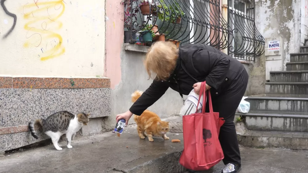 Местные жители и туристы охотно подкармливают животных