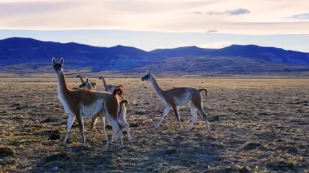 Мир без границ - Аргентина