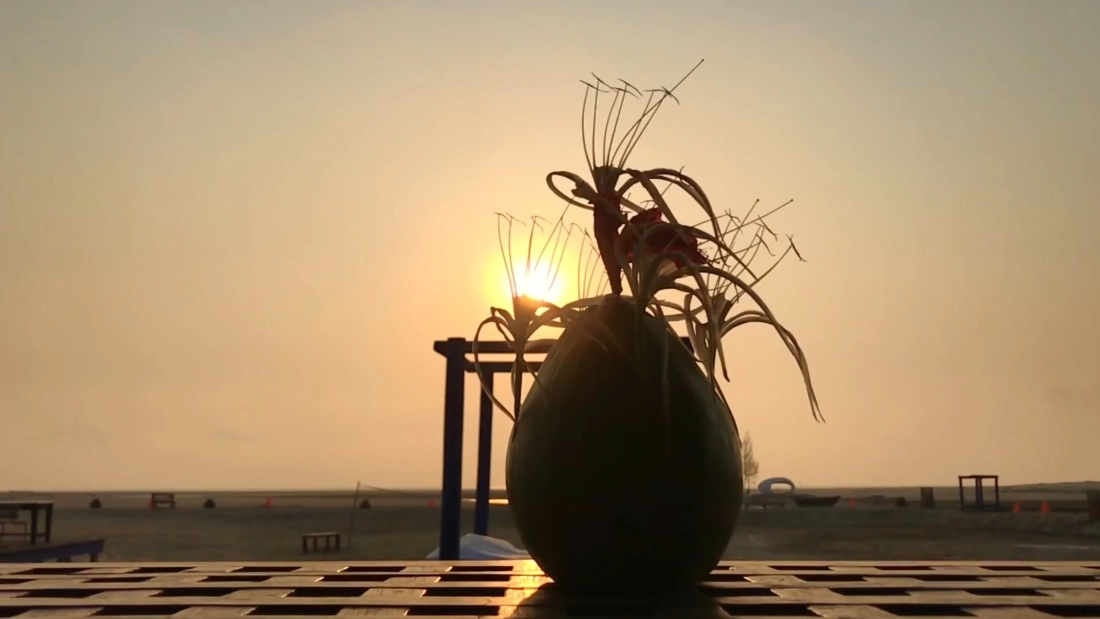 Мир без границ - Бангладеш