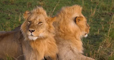 Мир без границ - Ботсвана