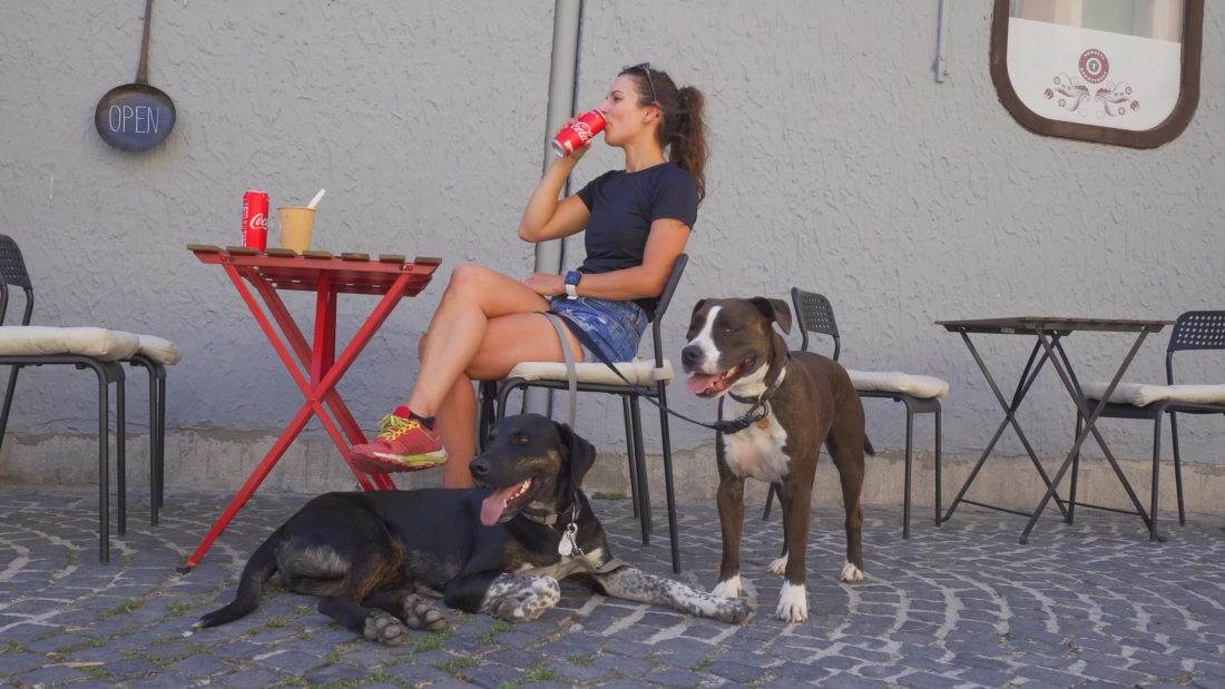 Мир без границ - Венгрия