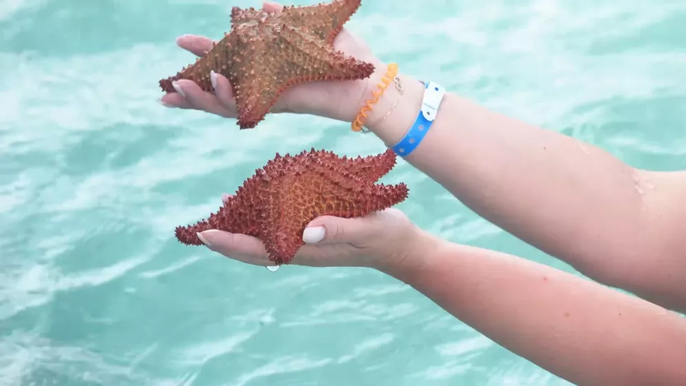 На пляжах Варадеро вас ждет незабываемый отдых