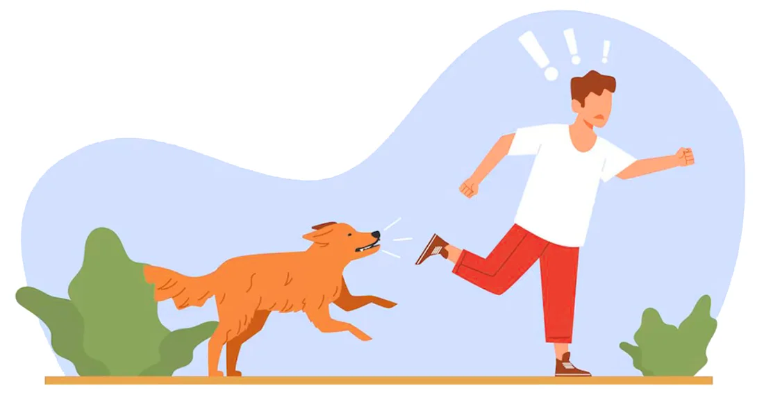 Напала собака в путешествии