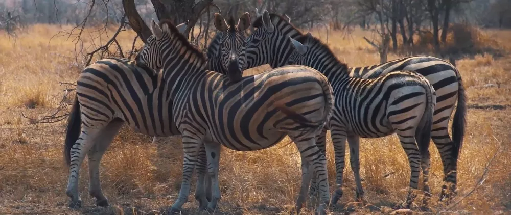 Национальный парк Малолотья