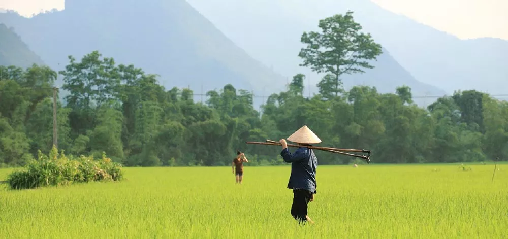 отдых во Вьетнаме