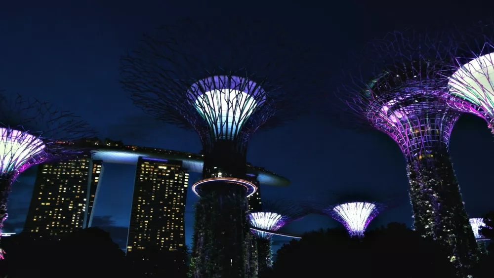 Ночное шоу в Садах у залива