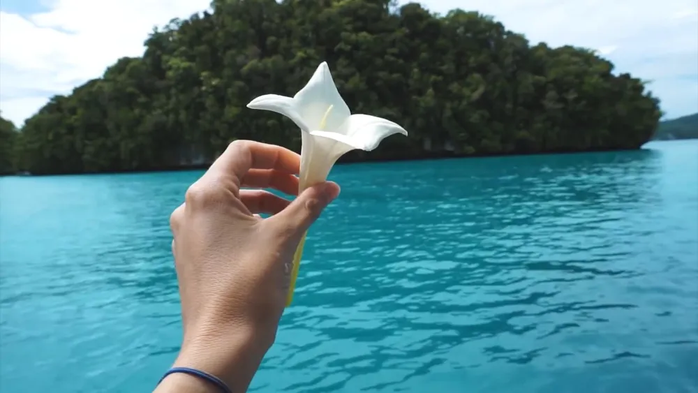 Отдых на островах