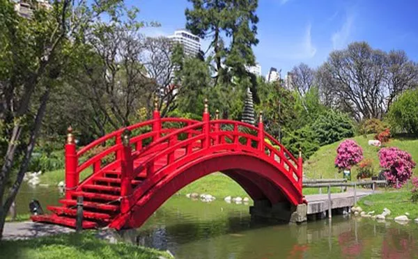 Палермские леса