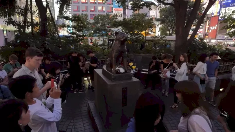 Памятник Хатико - Токио