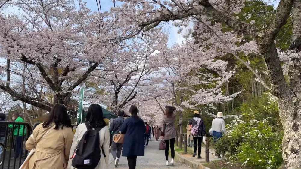 Путь Философа