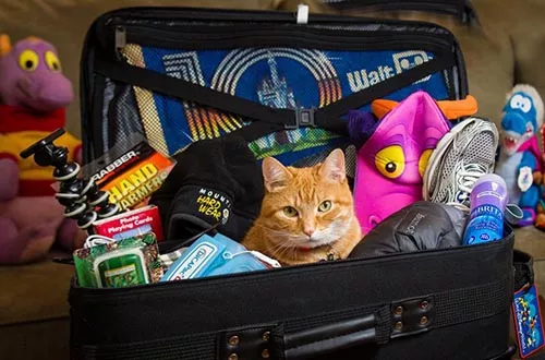 аптечкадля путешествия