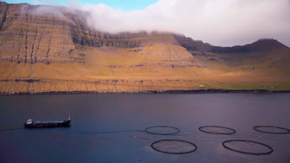 Рыбные питомники (Фарерские острова)