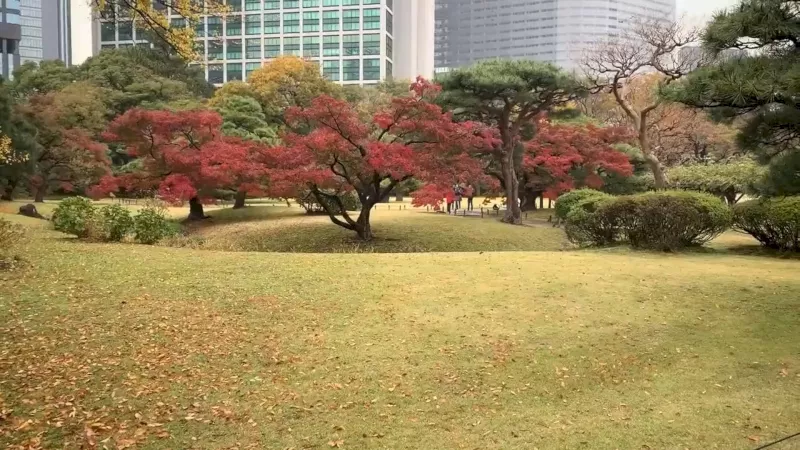 Сады Хамарикю