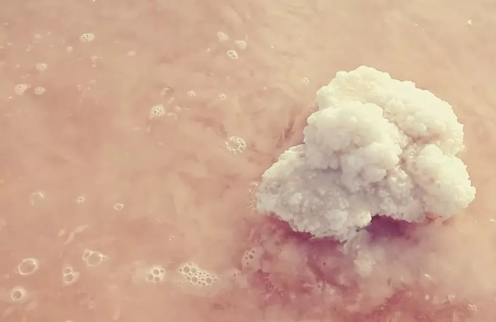 соляные отложения Lagunas de La Mata y Torrevieja