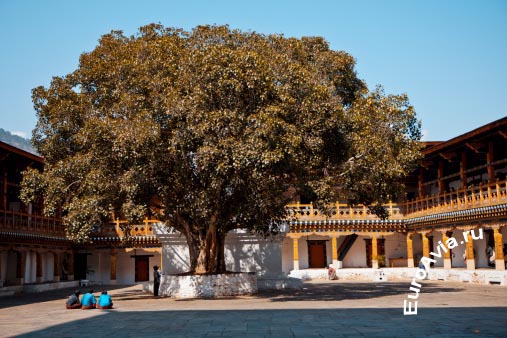 авиабилеты в Бутан