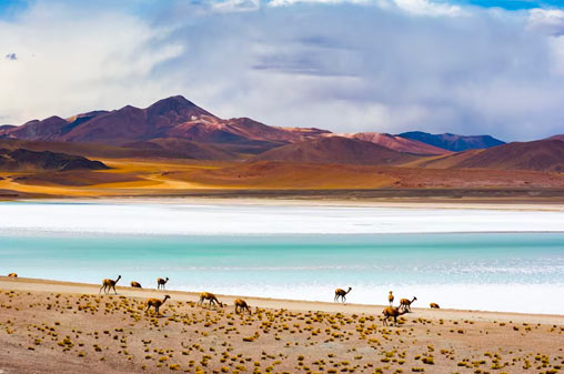 авиабилеты Ficksburg Sentra Oes, ЮАР