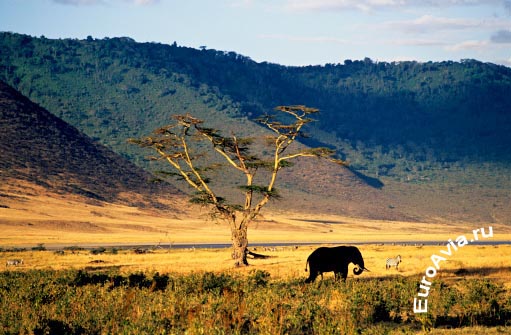 авиабилеты Додома, Танзания