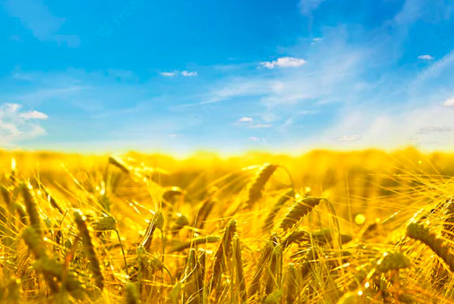 авиабилеты Ивано Франковск, Украина