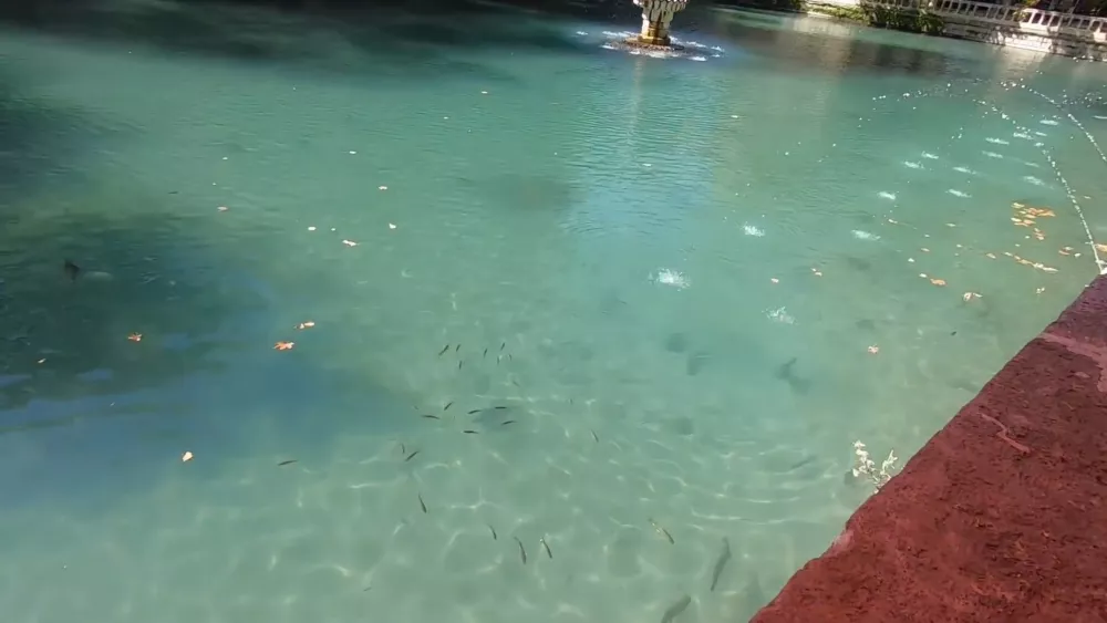 Священное водохранилище с карпами