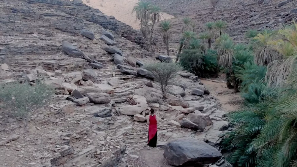 Терджит - оазис, популярный среди немногочисленных туристов Мавритании