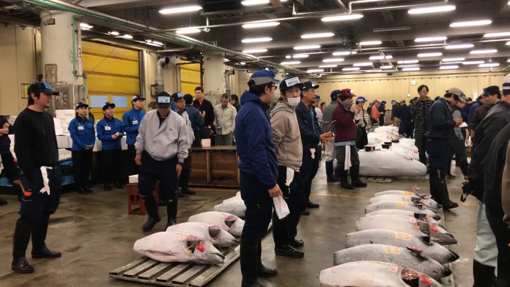 Торги на рынке Цукидзи