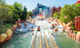 предложения экскурсий