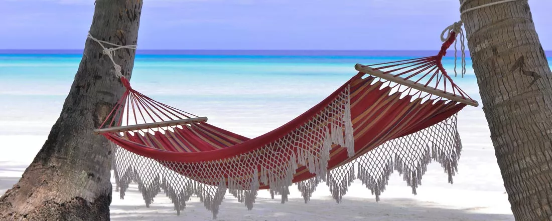 долгожданный отпуск