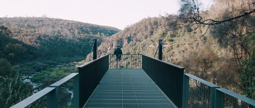 Ущелье Катаракт в Лонсестоне