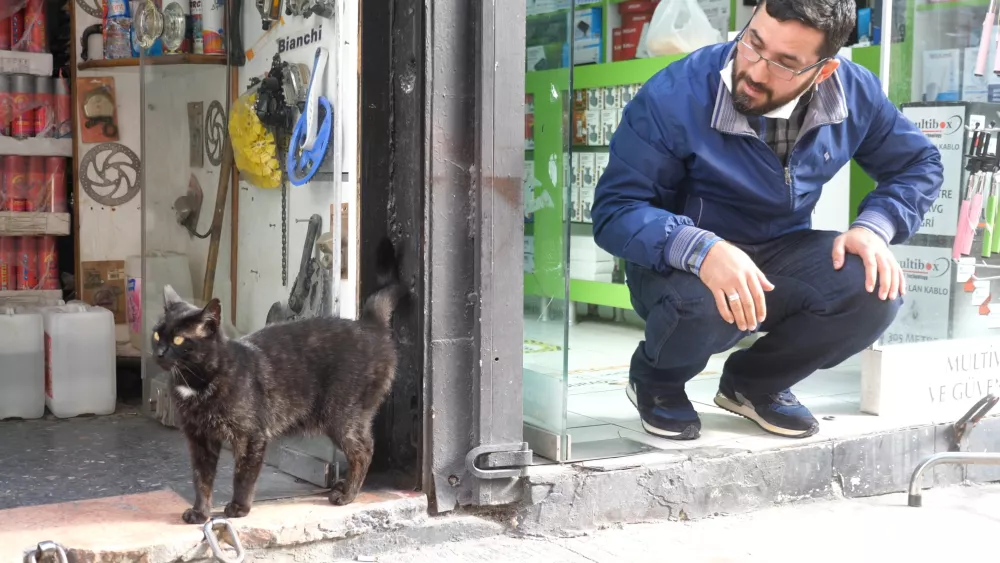 В каждой лавке или магазине есть свой питомец