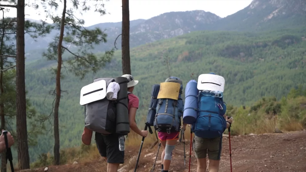 Вместе весело шагать по просторам...