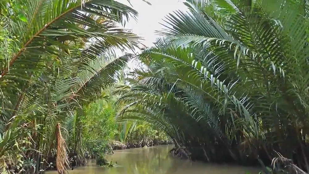 Водные каналы в дельте Меконга