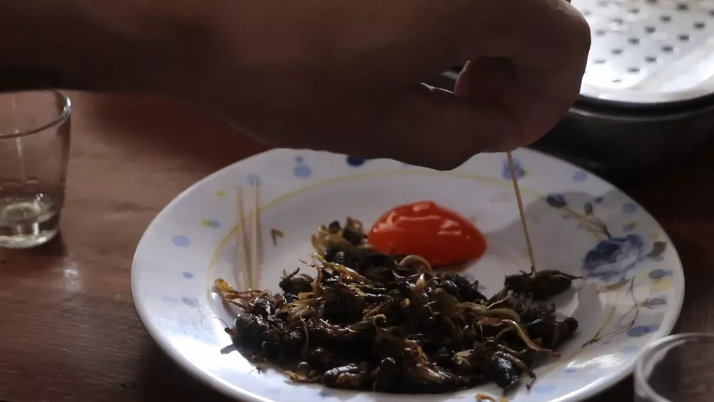 Жареные сверчки - а вам слабо?