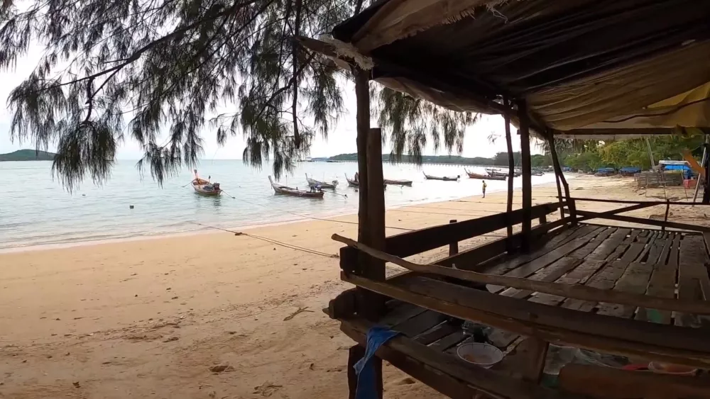 Жизнь в джунглях