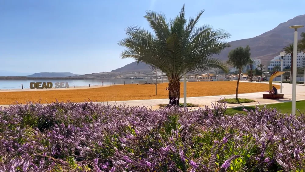 Зона отдыха на побережье Мертвого моря