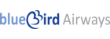 авиакомпания Blue Bird Airways