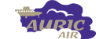 авиакомпания Auric Air Services